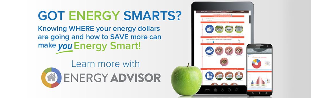 Apogee – Energy Smart